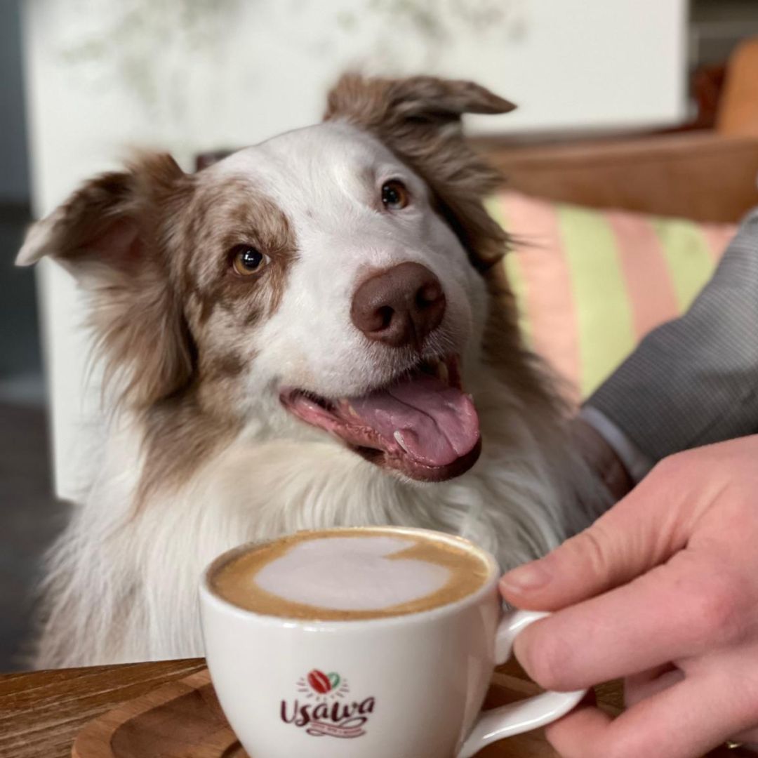 Wat kost koffie op kantoor per kop?